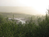 Sun-rain 2