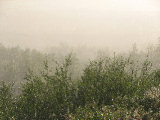 Sun-rain 3