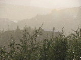 Sun-rain 4