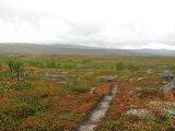 Trail 1