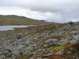 Trail 3