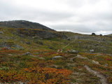Trail 4