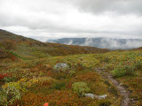 Trail 5