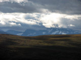 Sarek 1