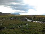 Bridge 2
