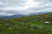 Fjelds 1