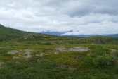 Fjelds 2