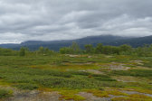 Fjelds 3