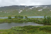 Pond 1