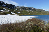 Snow 4