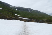 Snow 8