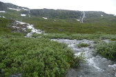 Stream 4