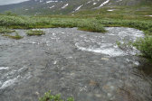 Stream 5