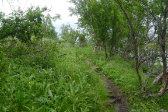 Trail 10