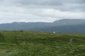 Trail 11