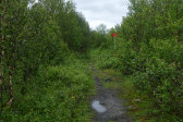 Trail 13