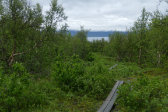 Trail 14