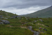 Trail 8