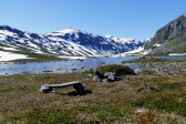 Campsite 1