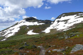 Fjelds 7