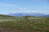 Fjelds 10