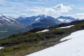 Fjelds 12