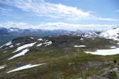Fjelds 13