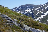 Fjelds 1