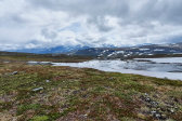Fjelds 9