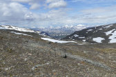 Fjelds 3