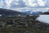 Fjelds 8