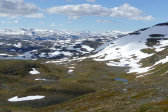 Fjelds 5