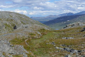 Path 7