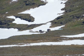 Research station 1
