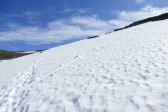 Snow 4