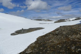 Snow 3