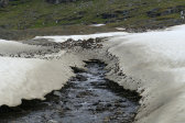 Stream 1