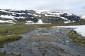 Stream 2
