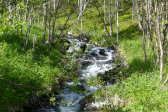 Stream 1