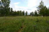 Grönvallen 2