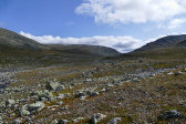 Tronndalen 5