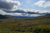 Fjelds 3