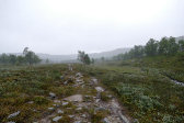 Rain 2