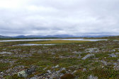 Tarn 1
