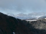 Fjelds 8