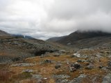 Fjelds 1