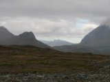 Fjelds 3