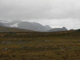 Fjelds 5