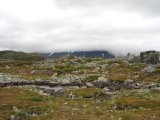 Fjelds 6