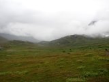 Fjelds 5